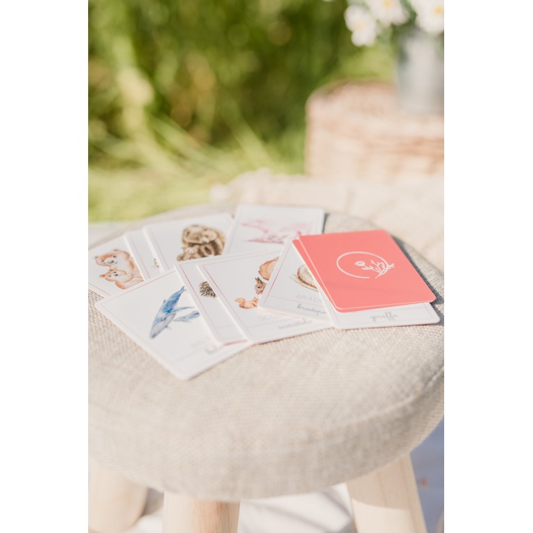 Carte della nomenclatura - MAMME E CUCCIOLI