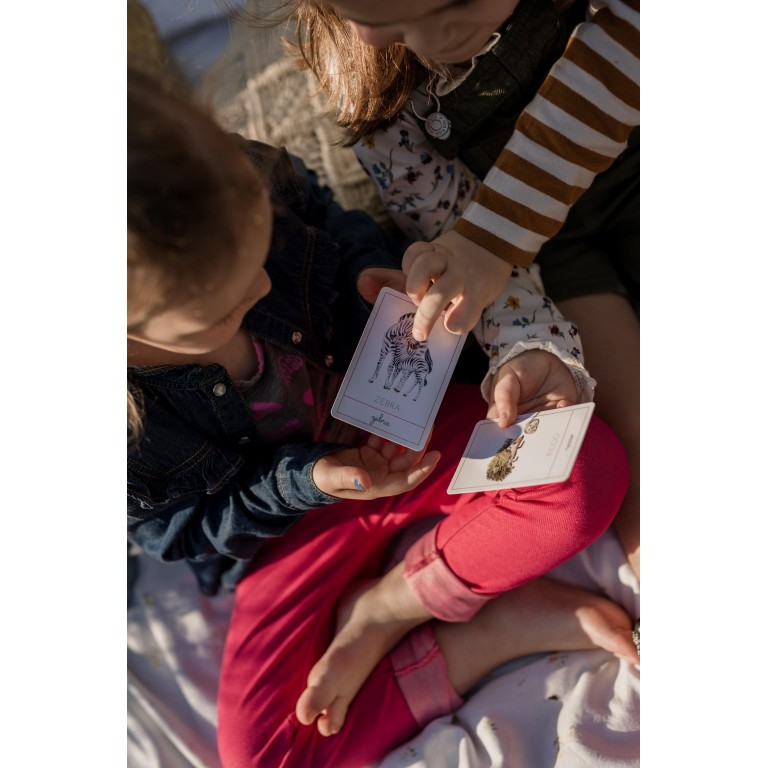 Carte della nomenclatura - MAMME E CUCCIOLI