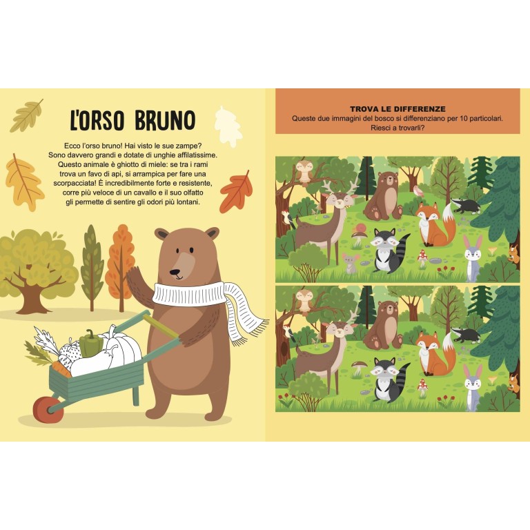 Mega box arts & crafts. La foresta magica