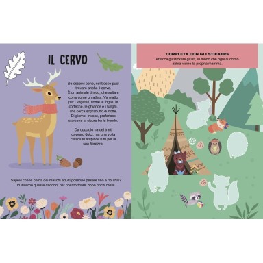 Mega box arts & crafts. La foresta magica