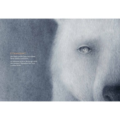 Arancione come l'amore