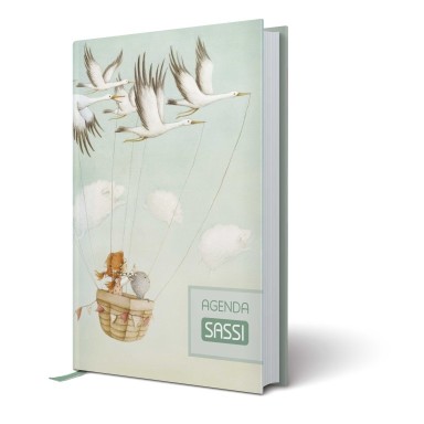 Agenda SASSI - Quando piove dentro