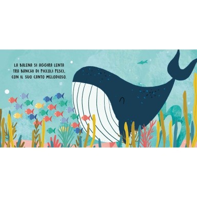 Dolci storie sonore. Il mare