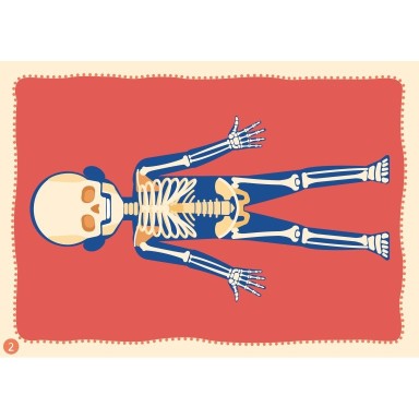 Le mie prime attività arts & crafts. Il corpo umano