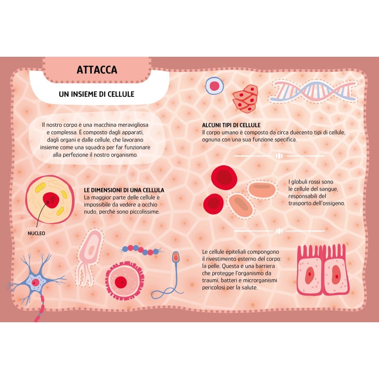 Le mie prime attività arts & crafts. Il corpo umano