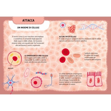 Le mie prime attività arts & crafts. Il corpo umano