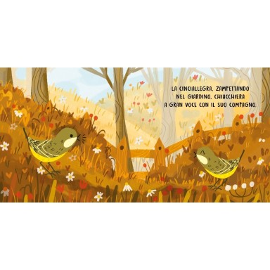 Dolci storie sonore. Gli uccelli