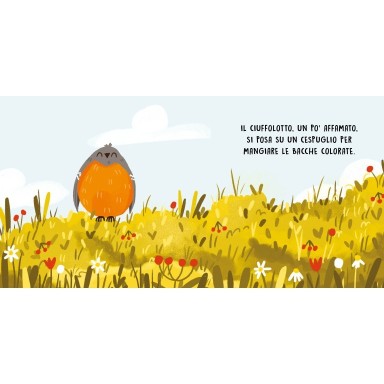 Dolci storie sonore. Gli uccelli