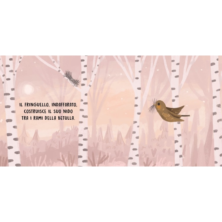 Dolci storie sonore. Gli uccelli