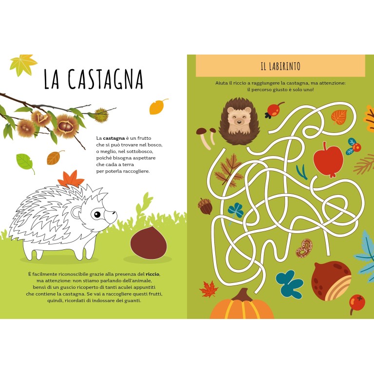 Stickers e attività. Autunno