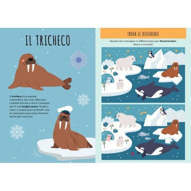 Stickers e attività. I ghiacci