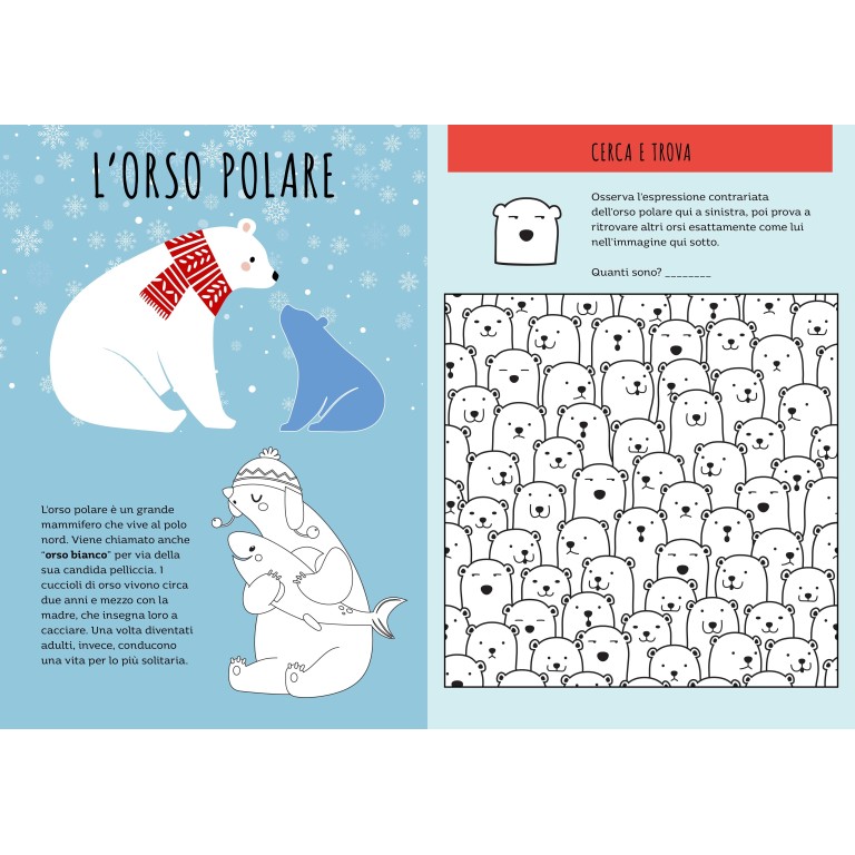 Stickers e attività. I ghiacci