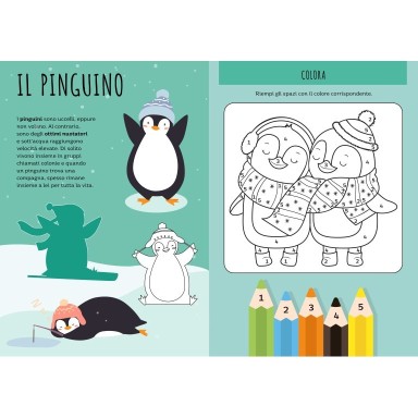 Stickers e attività. I ghiacci