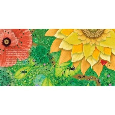 Impariamo a leggere l'ora