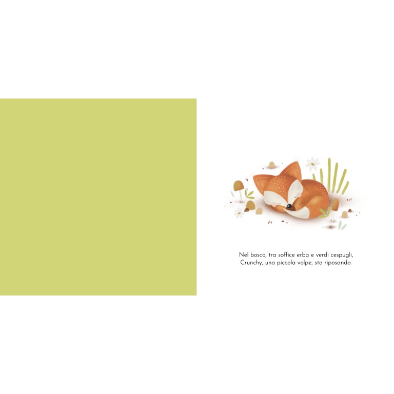 Libri cartonati. Crunchy e l'astuzia