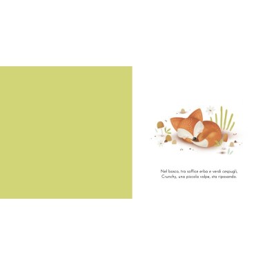 Libri cartonati. Crunchy e l'astuzia