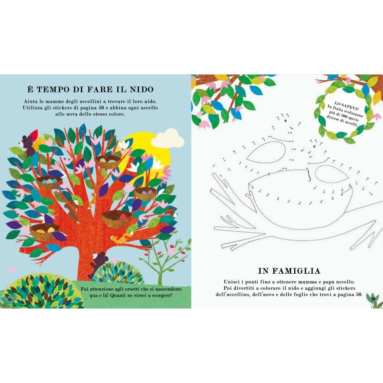 Albero. Il libro delle attività