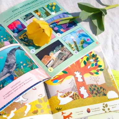 Mare. Il libro delle attività