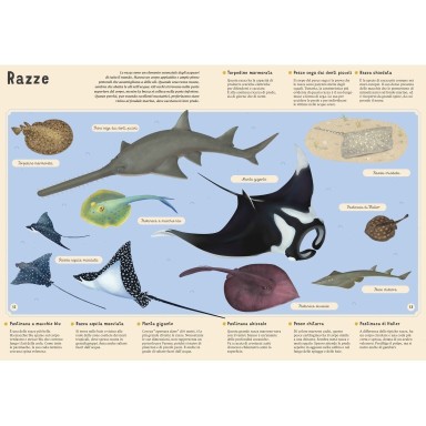 Enciclopedia del mare per piccoli lettori