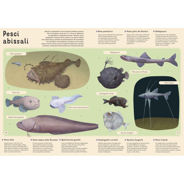 Enciclopedia del mare per piccoli lettori