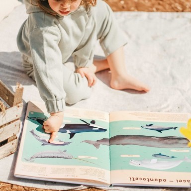 Enciclopedia del mare per piccoli lettori
