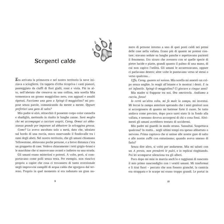 Woodwalkers. Il segreto di Holly (vol. 3)