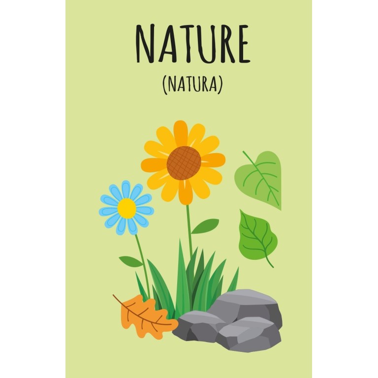 La mia prima biblioteca. Imparo l'inglese