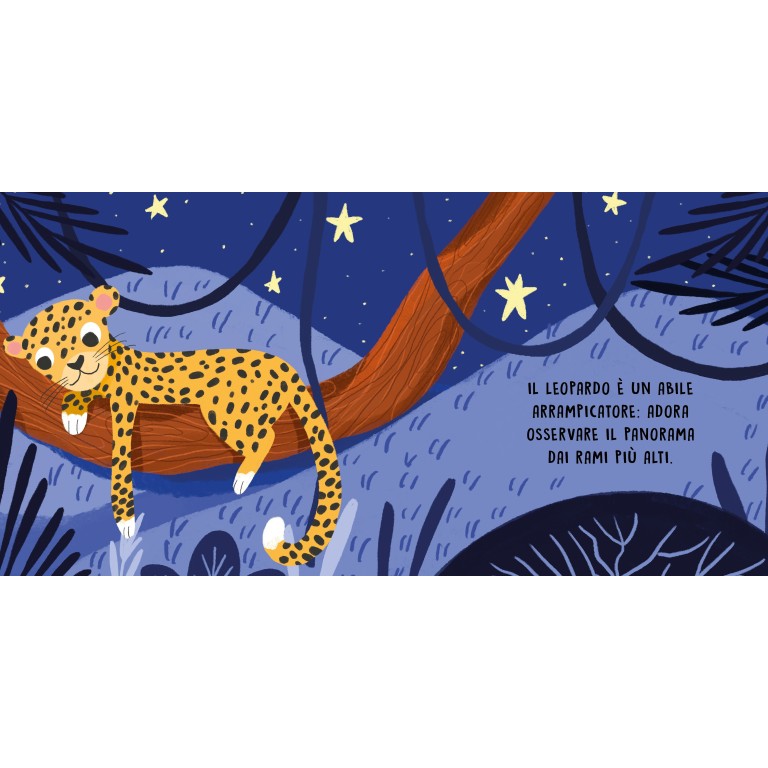 Dolci storie sonore. Gli animali della notte