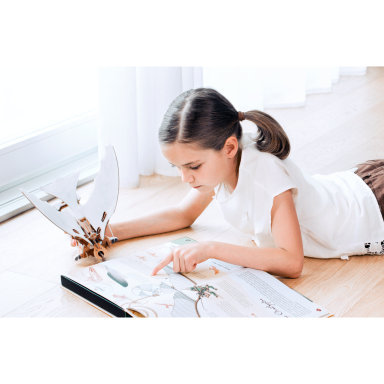 The Inventions of Leonardo da Vinci. The Flying Machines