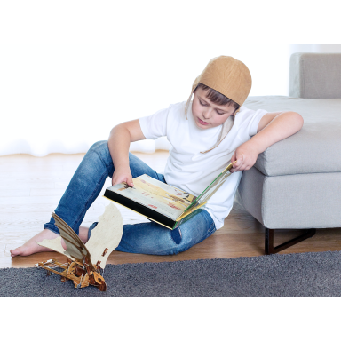 The Inventions of Leonardo da Vinci. The Flying Machines