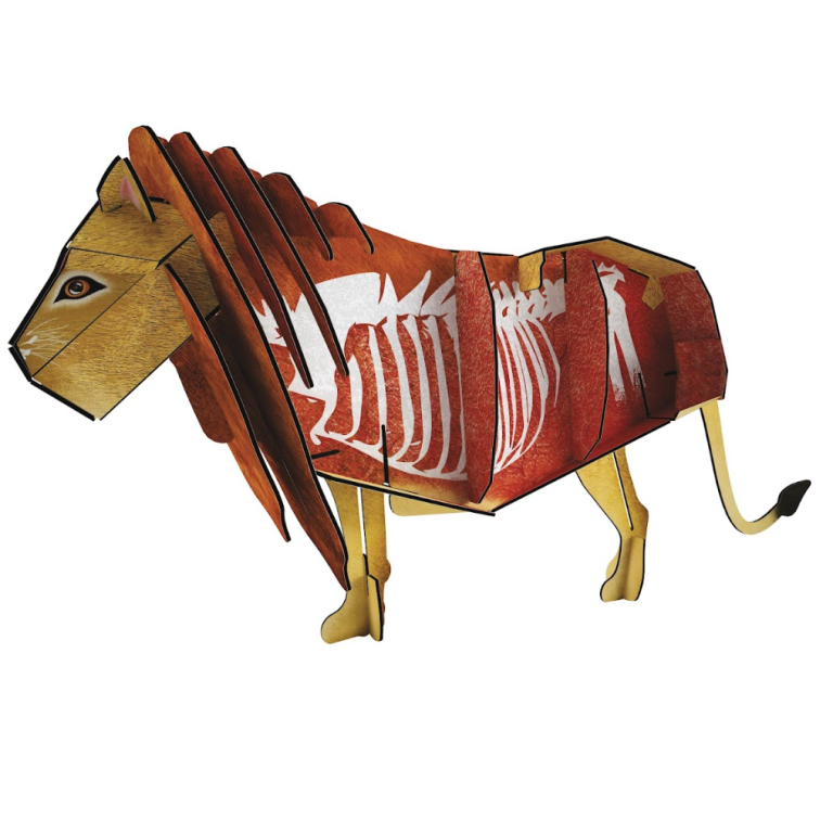 The 3D Lion. The Savannah