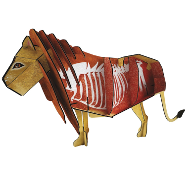 The 3D Lion. The Savannah