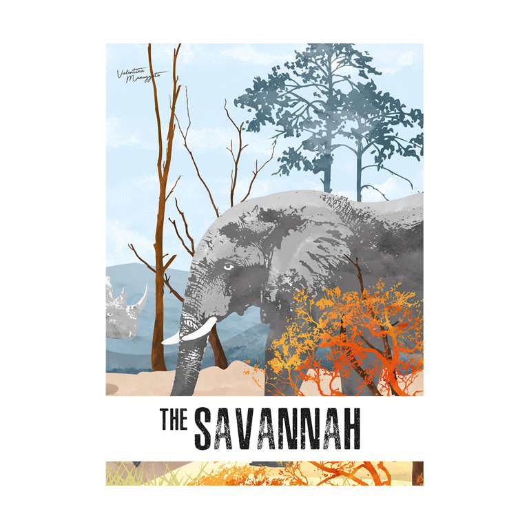 The 3D Lion. The Savannah