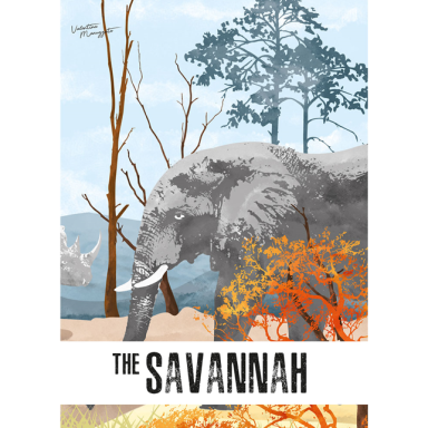 The 3D Lion. The Savannah