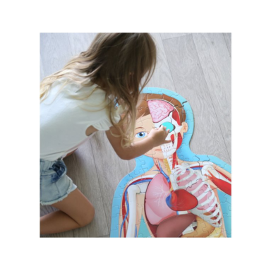 Travel, Learn, Explore. The Human Body