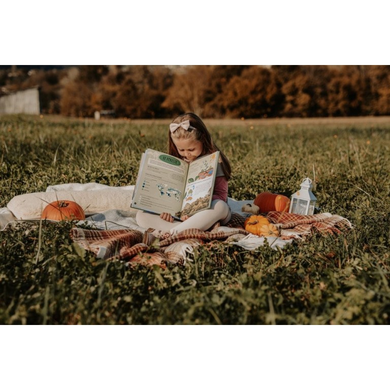 What, How, Why. The Earth