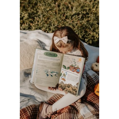 What, How, Why. The Earth