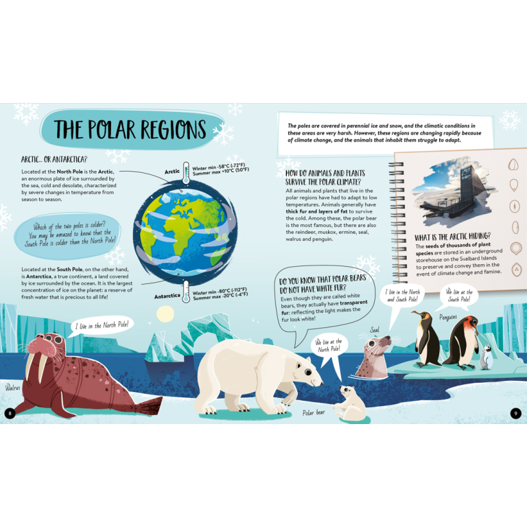 What, How, Why. The Earth