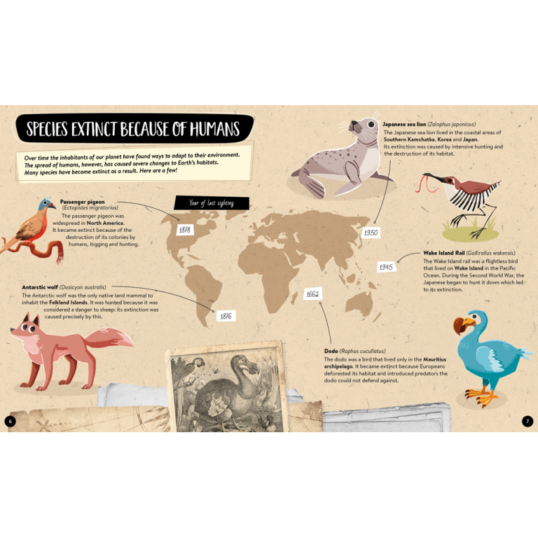 What, How, Why. The Earth