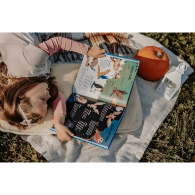 What, How, Why. Animals