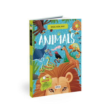 What, How, Why. Animals