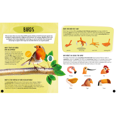 What, How, Why. Animals