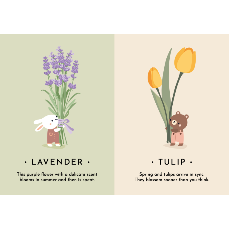 My First Cards. Nature (Outlet)