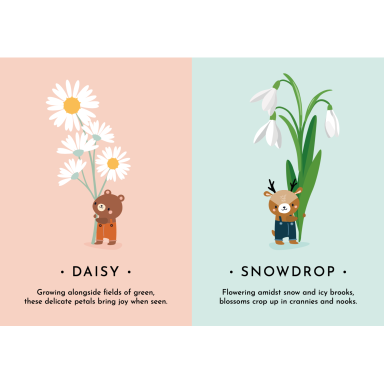 My First Cards. Nature (Outlet)