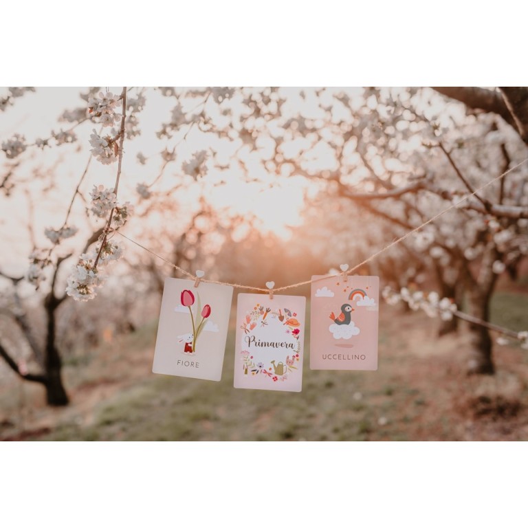 My First Cards. Seasons (Outlet)