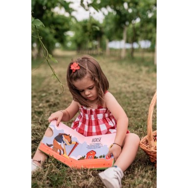 Sound Books. The Farm