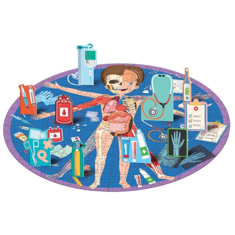 Travel, Learn and Explore. All About the Human Body