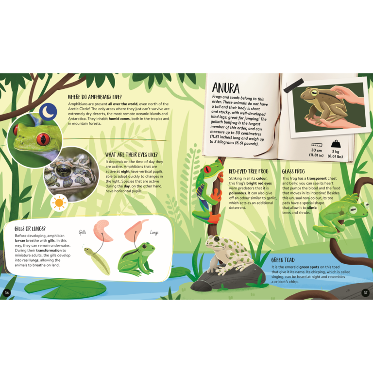 The Ultimate atlas. Animals