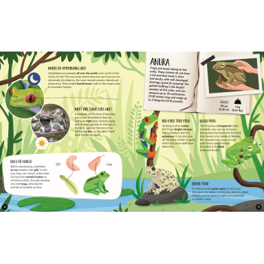 The Ultimate atlas. Animals