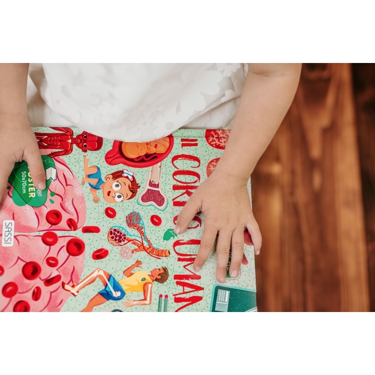 What, How, Why. The Human Body